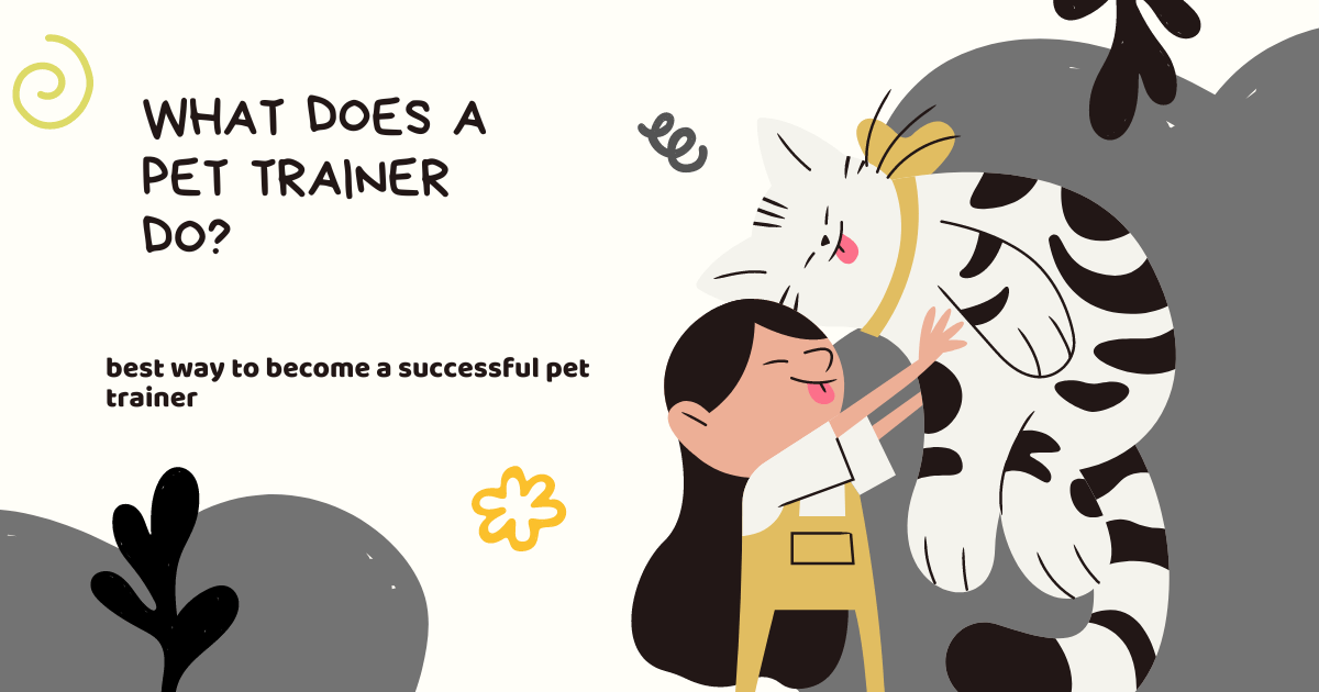 train your pet like a pro