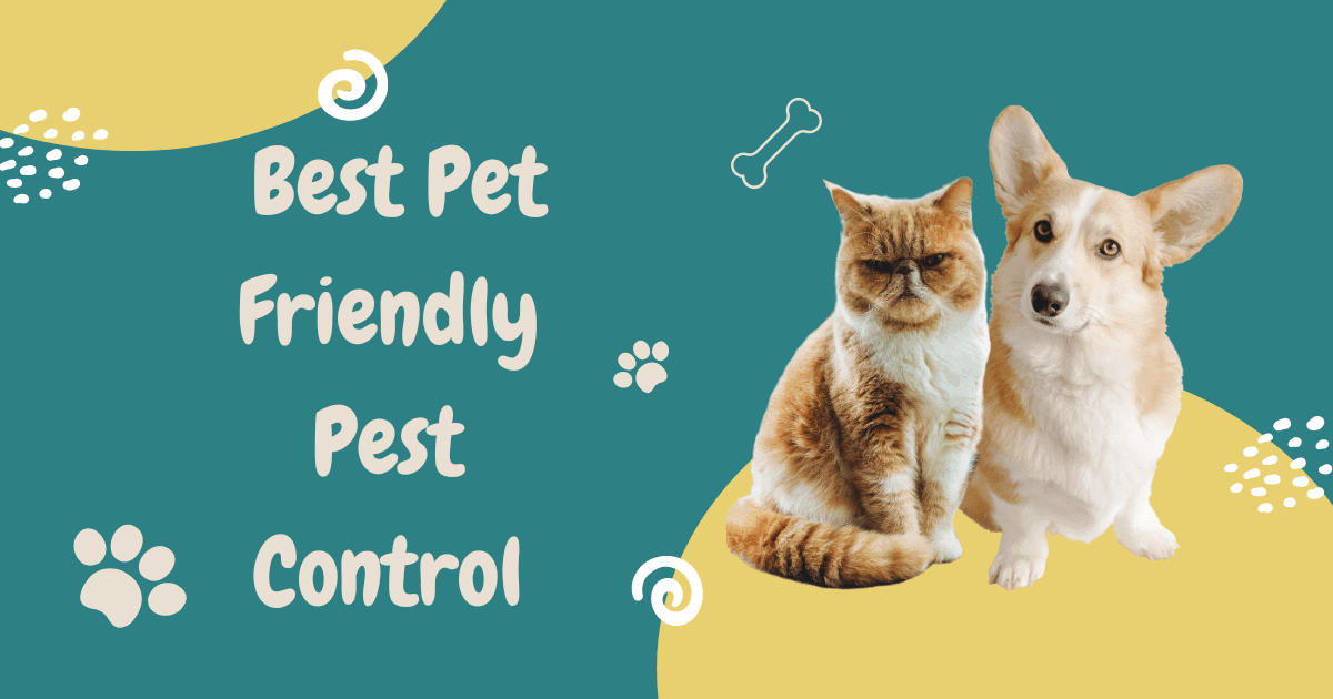 Best Pet-Friendly Pest Control